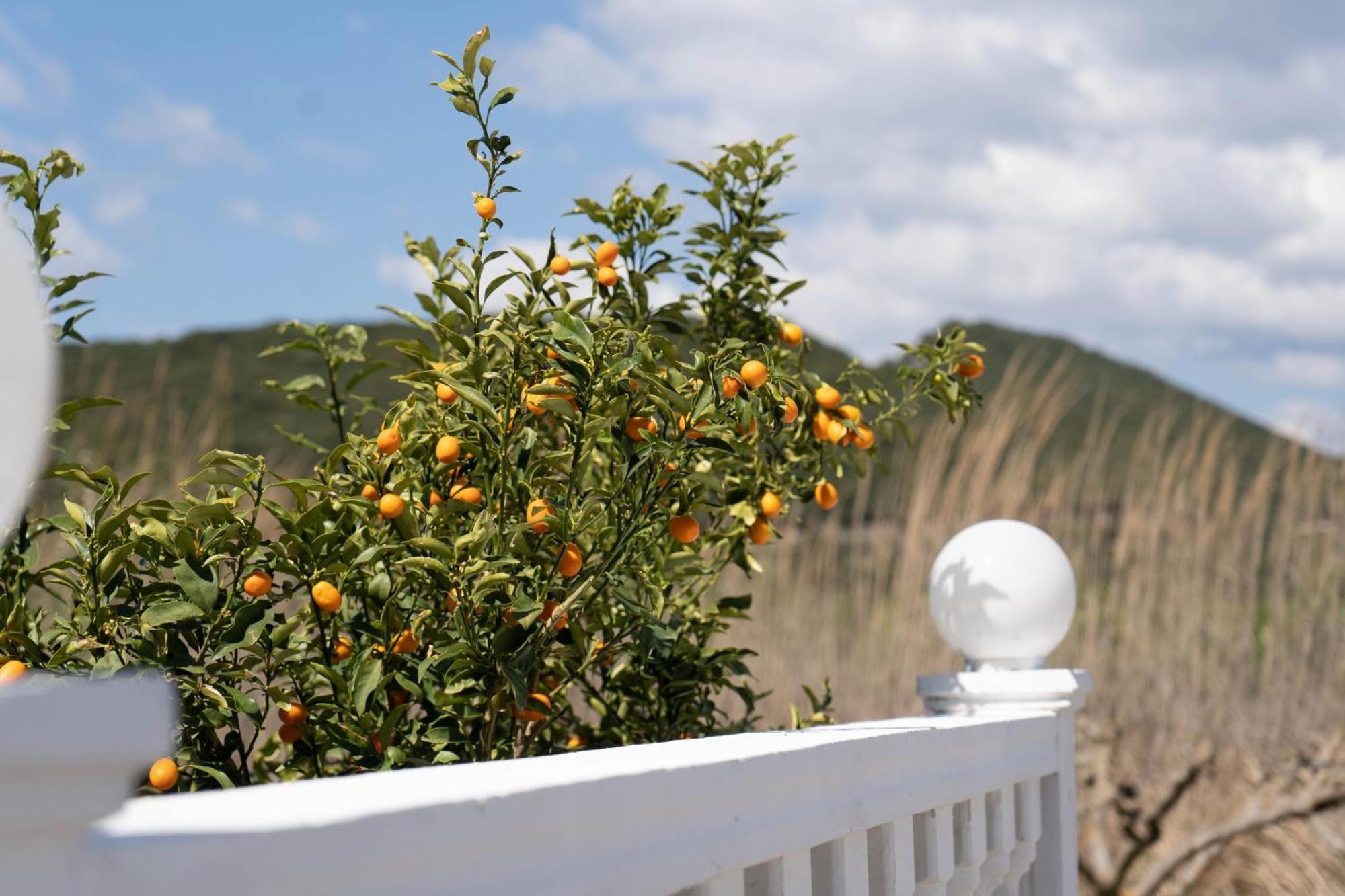 Hotel Alexandros Ammoudia Exterior photo
